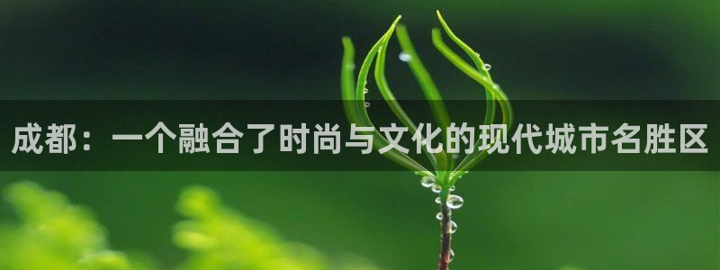 摩根娱乐